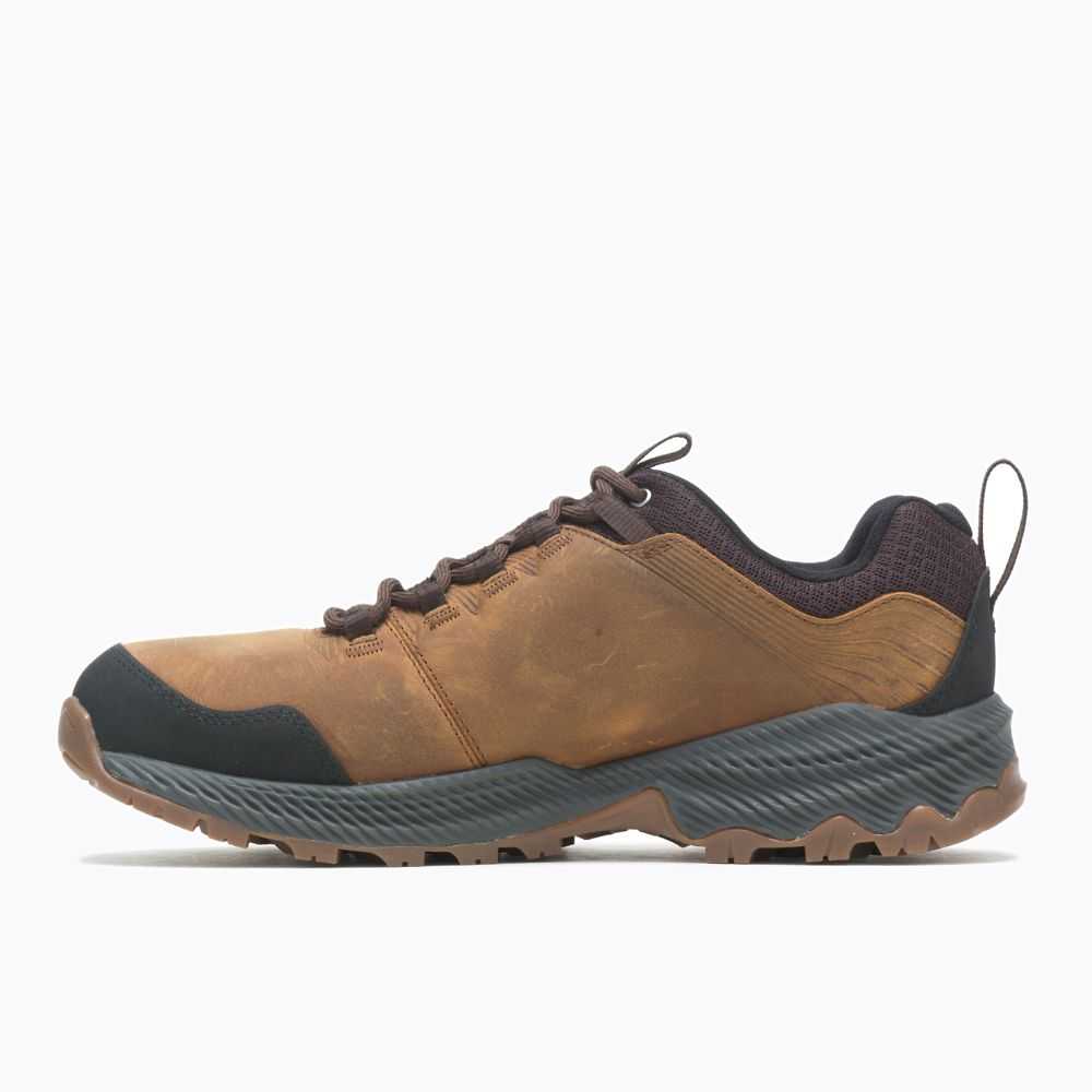 Brown Men's Merrell Forestbound Hiking Shoes | Dubai-8140673