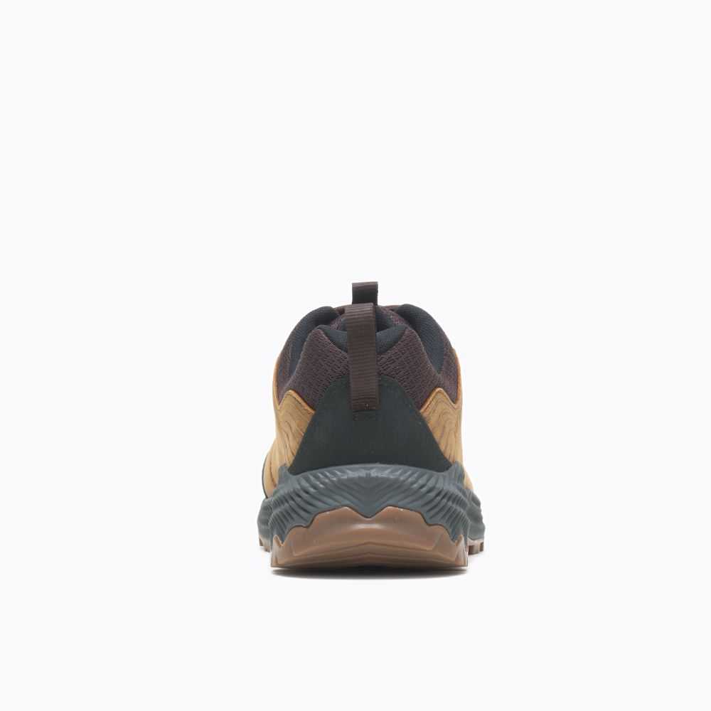 Brown Men's Merrell Forestbound Hiking Shoes | Dubai-8140673