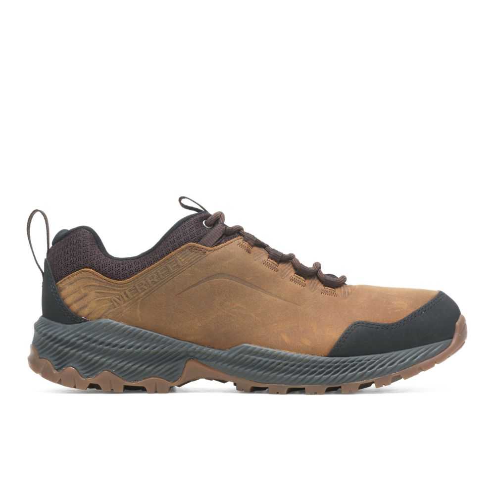 Brown Men\'s Merrell Forestbound Hiking Shoes | Dubai-8140673