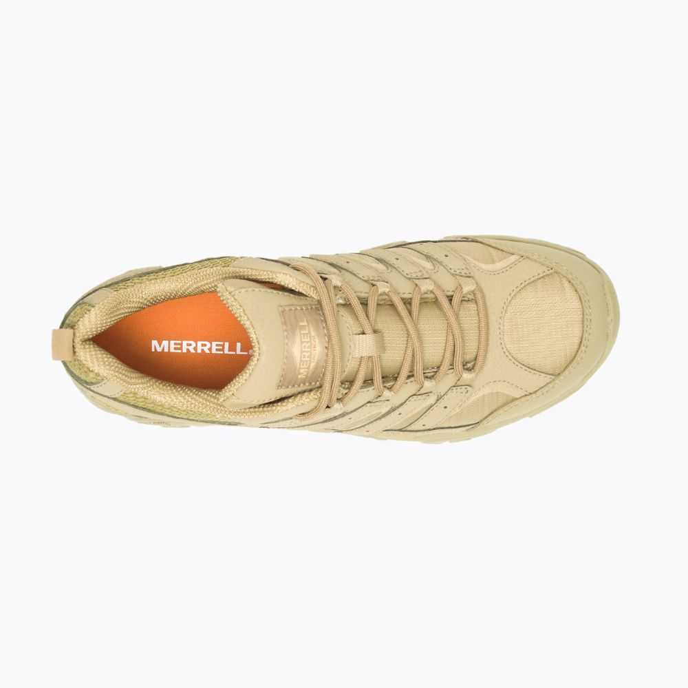 Brown Men's Merrell Moab 2 Tactical Work Shoes | Dubai-0648739