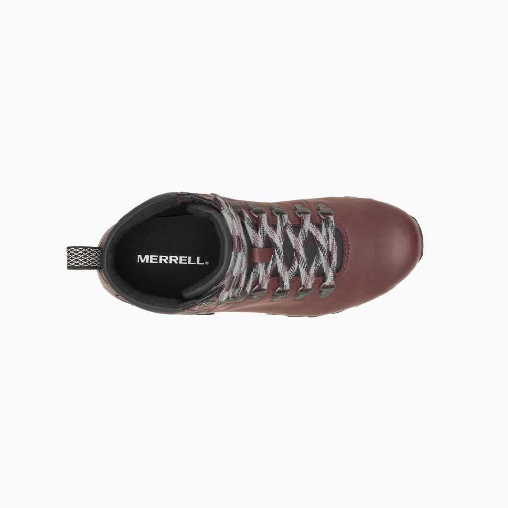 Burgundy Women's Merrell Alpine Hiking Boots | Dubai-6018432