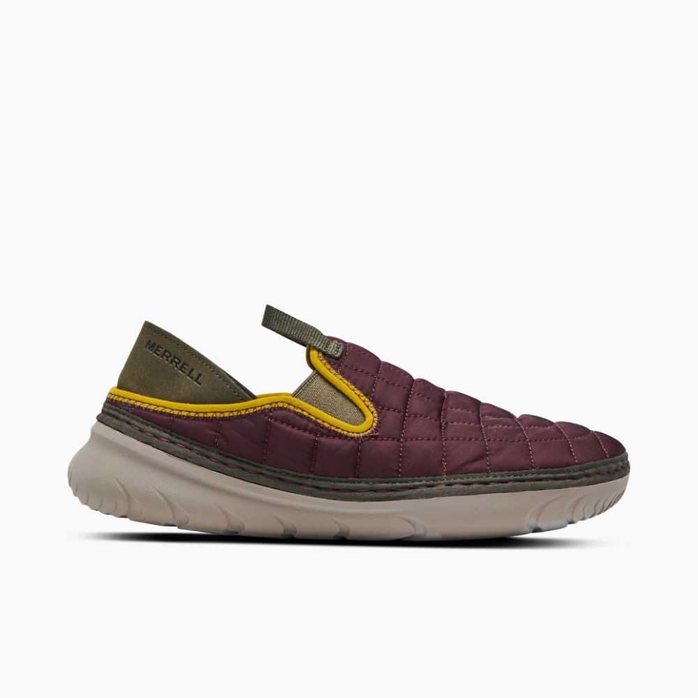 Burgundy Women\'s Merrell Hut Moc Slip On Shoes | Dubai-3507462