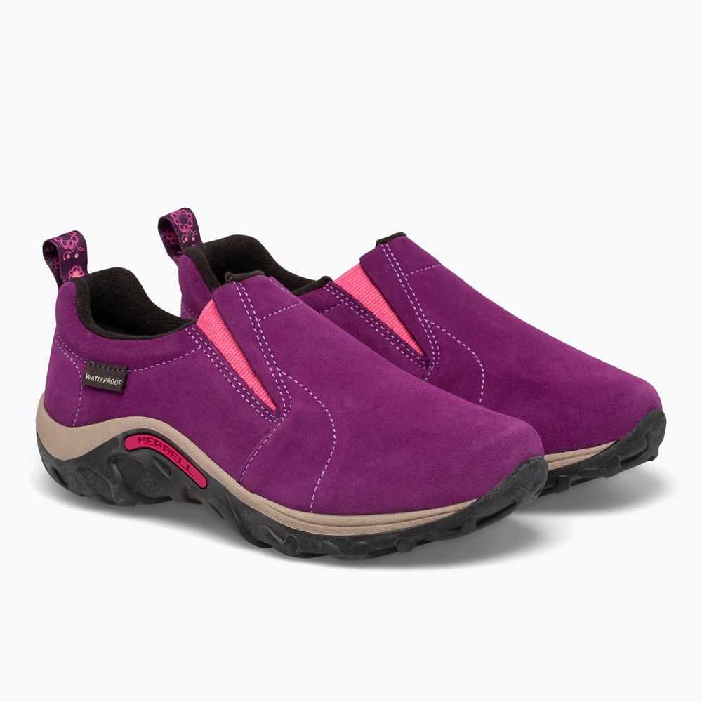 Fuchsia Boys' Merrell Jungle Moc Frosty Waterproof Slip On Shoes | Dubai-1398706