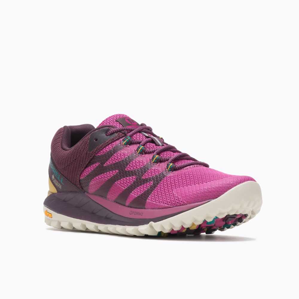 Fuchsia Women's Merrell Antora 2 GORE-TEX® Trail Running Shoes | Dubai-7501329