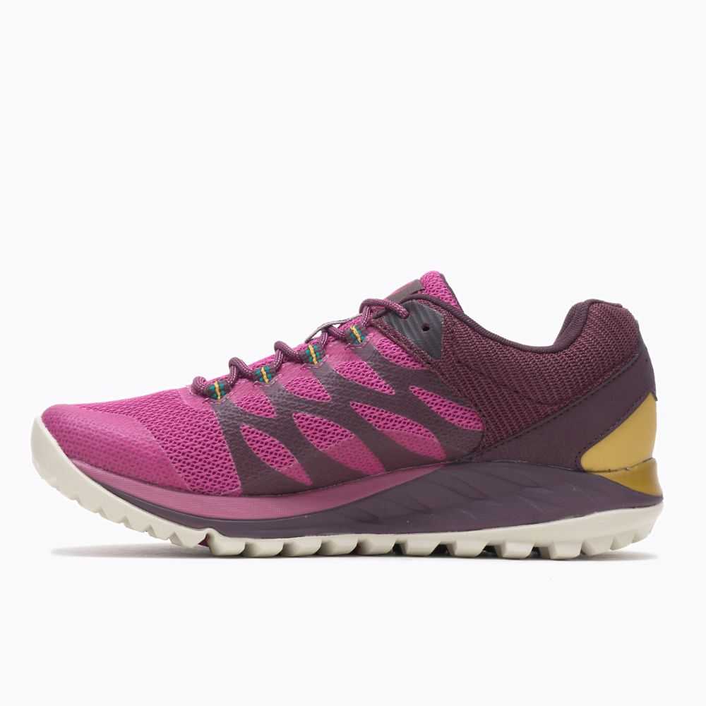 Fuchsia Women's Merrell Antora 2 GORE-TEX® Trail Running Shoes | Dubai-7501329