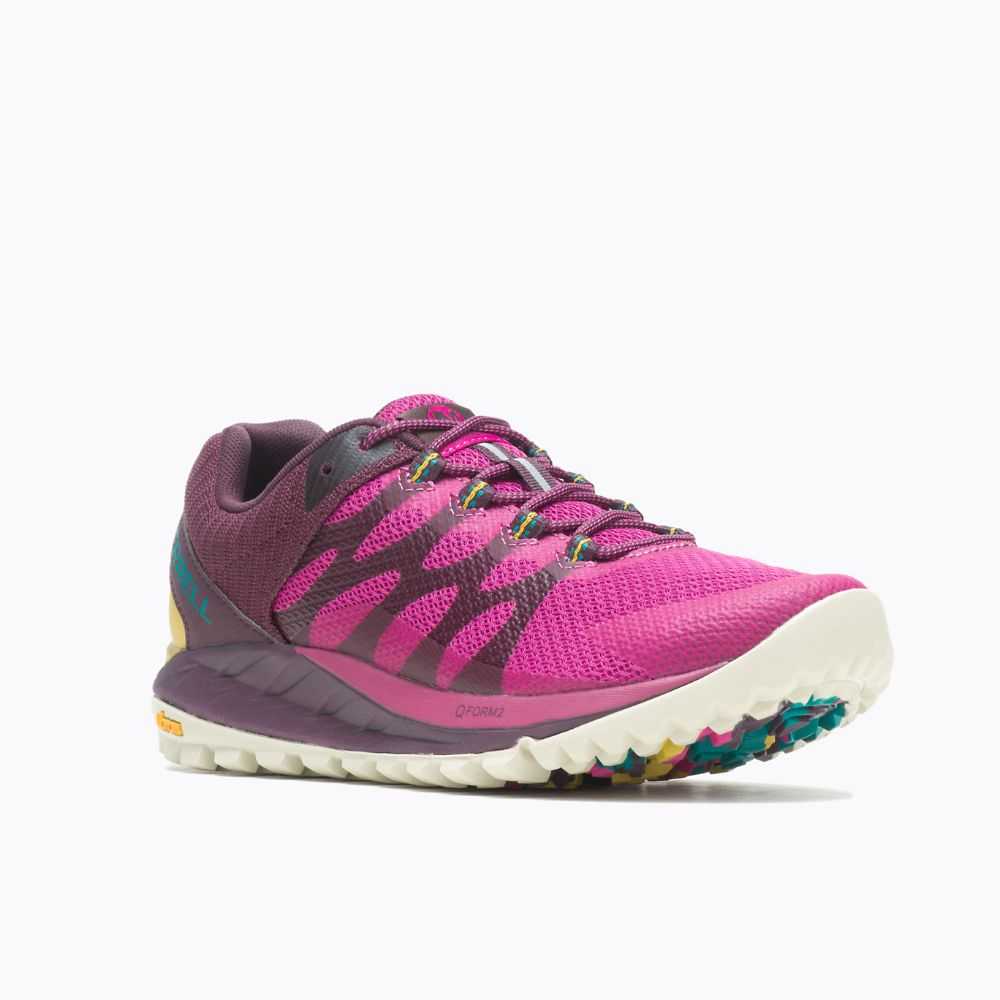 Fuchsia Women's Merrell Antora 2 Trail Running Shoes | Dubai-8270436