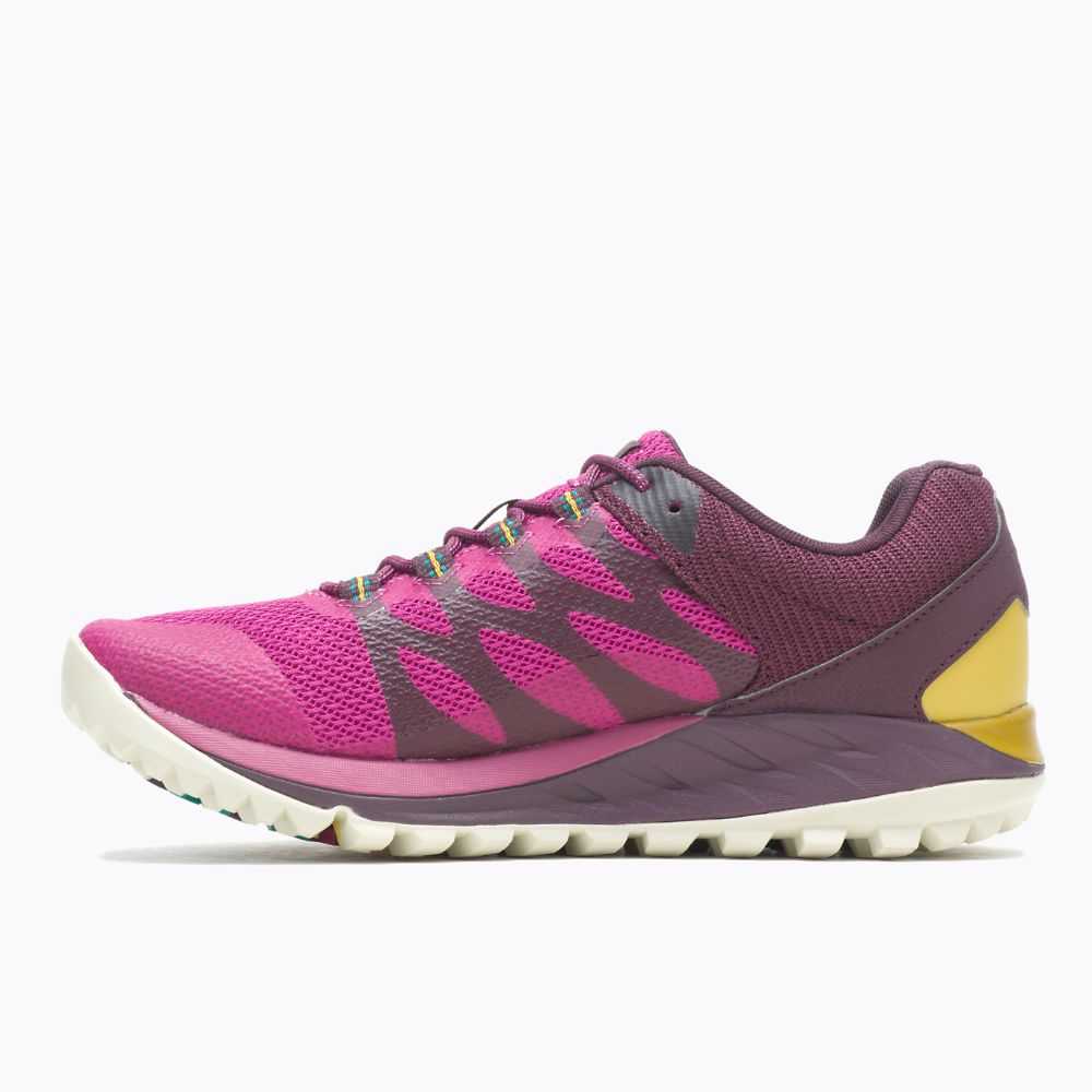 Fuchsia Women's Merrell Antora 2 Trail Running Shoes | Dubai-8270436