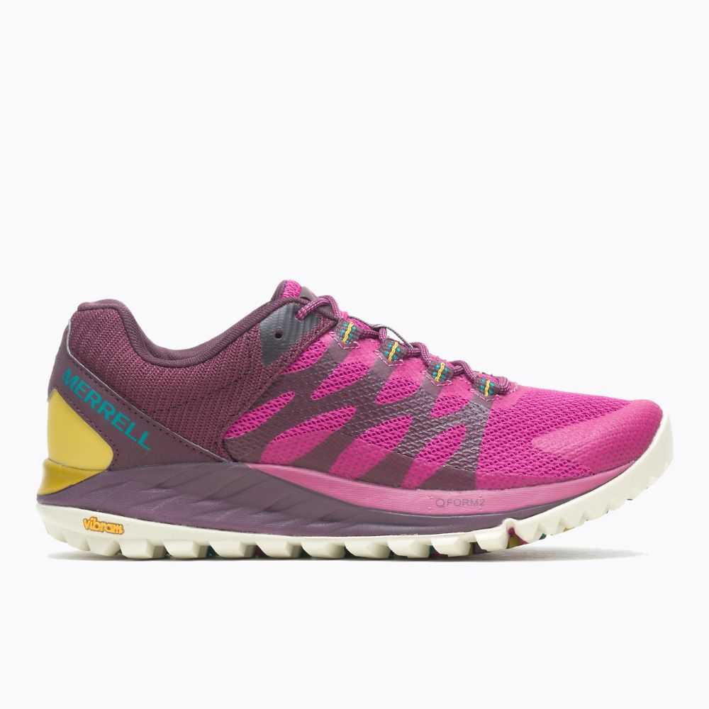 Fuchsia Women\'s Merrell Antora 2 Trail Running Shoes | Dubai-8270436