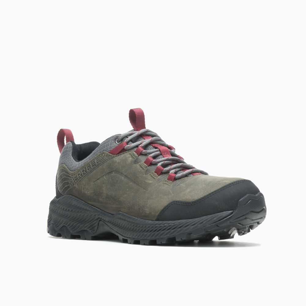 Grey Men's Merrell Forestbound Hiking Shoes | Dubai-1728436