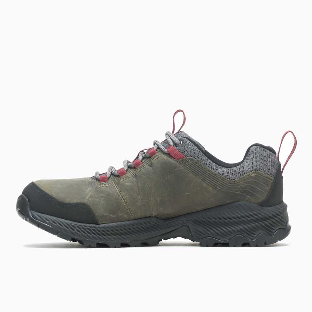 Grey Men's Merrell Forestbound Hiking Shoes | Dubai-1728436