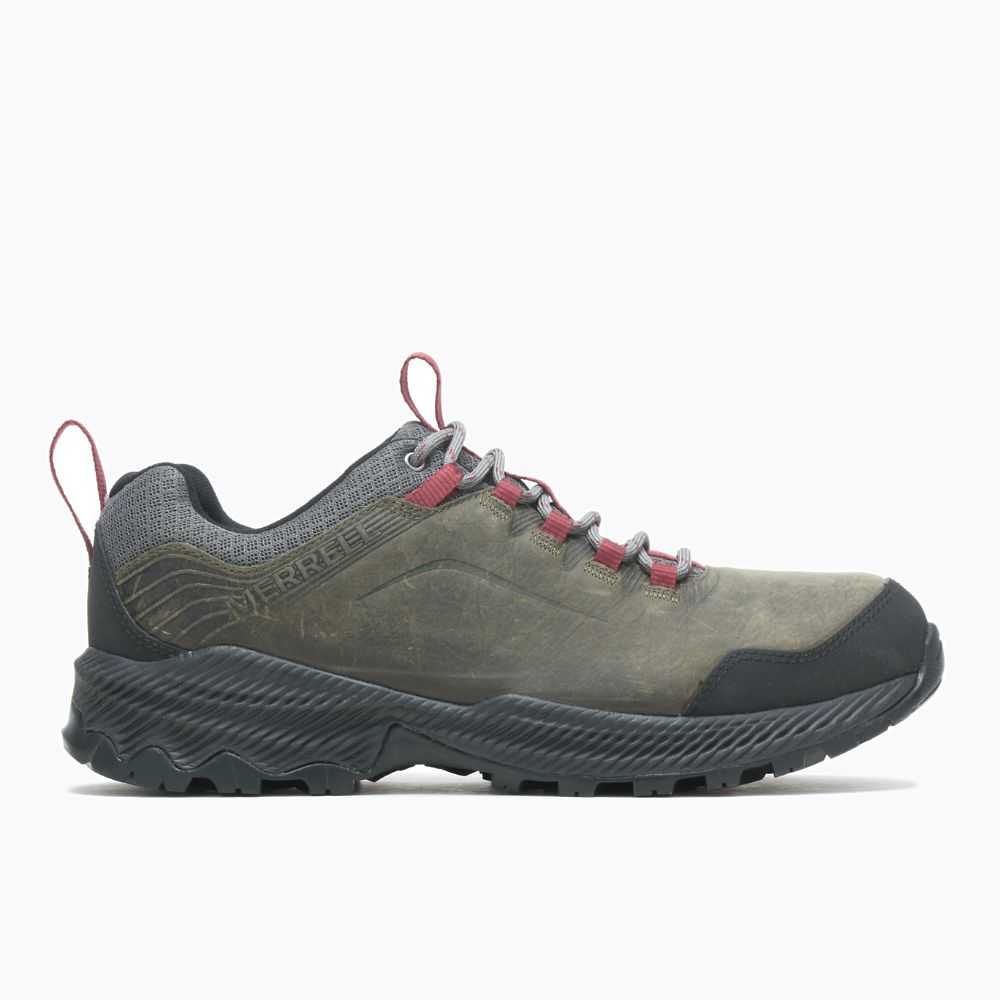 Grey Men\'s Merrell Forestbound Hiking Shoes | Dubai-1728436