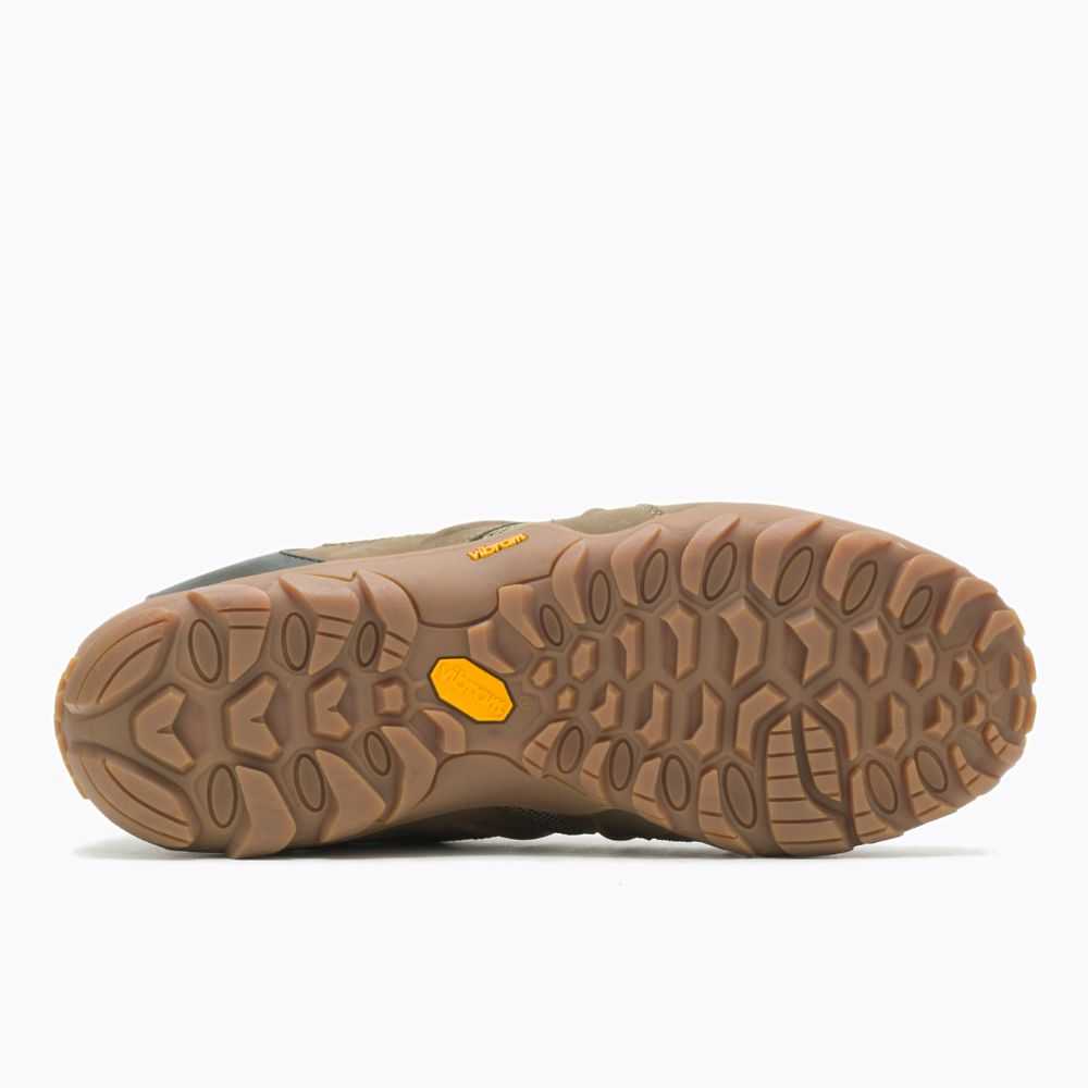 Olive Men's Merrell Chameleon 8 Stretch Sneakers | Dubai-4972631