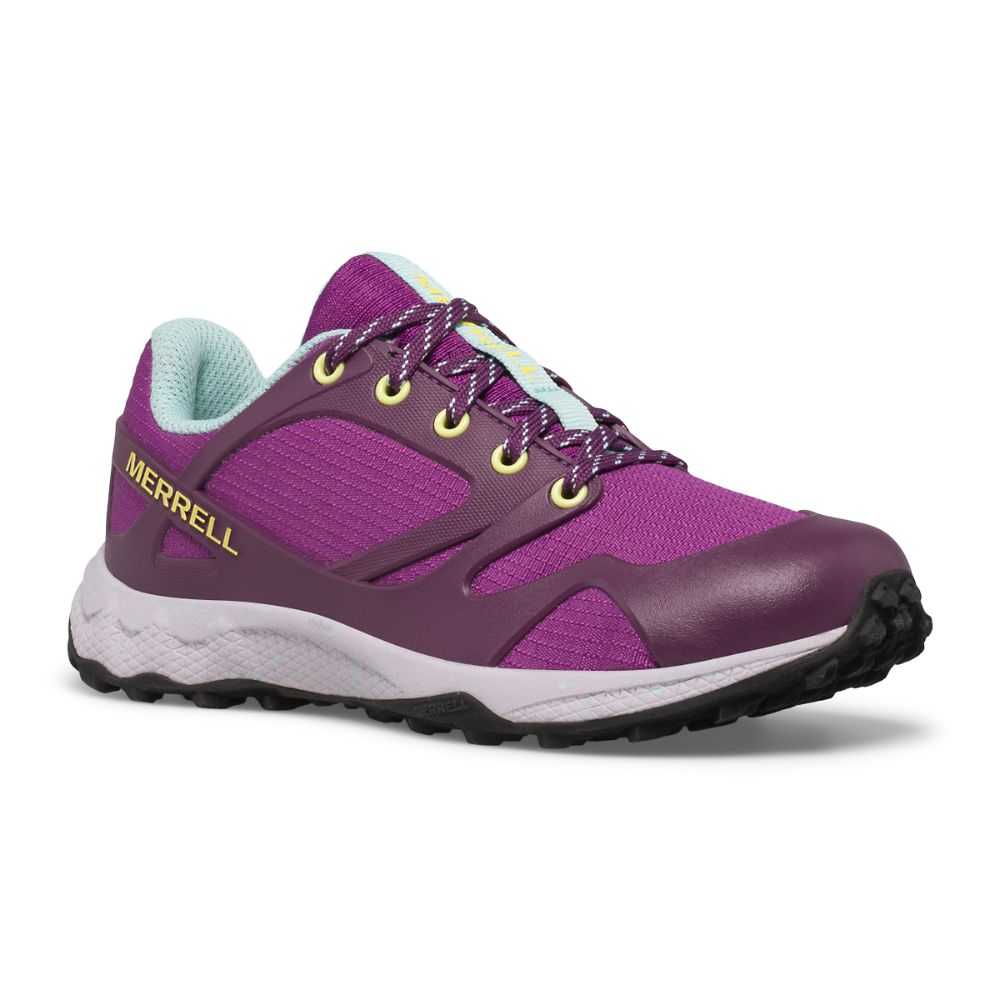 Purple Boys' Merrell Altalight Low Sneakers | Dubai-2169470