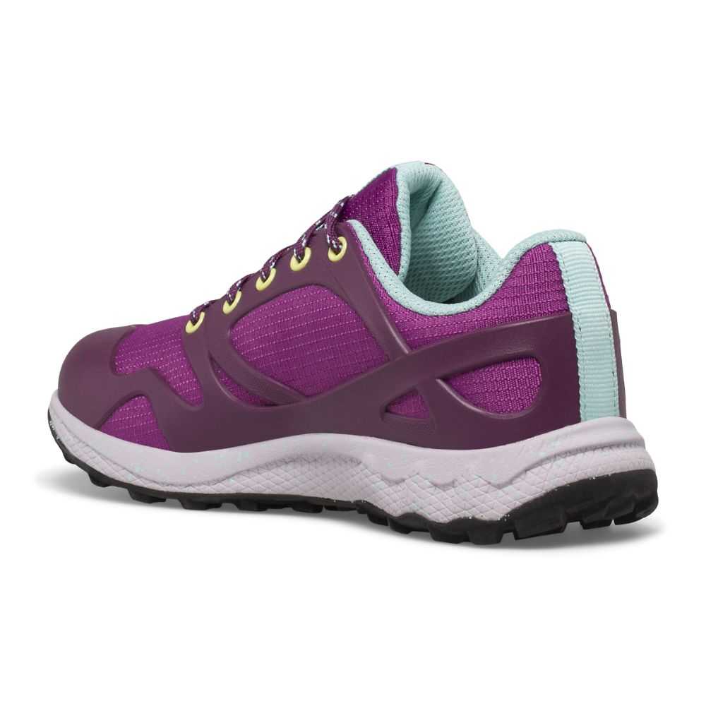 Purple Boys' Merrell Altalight Low Sneakers | Dubai-2169470