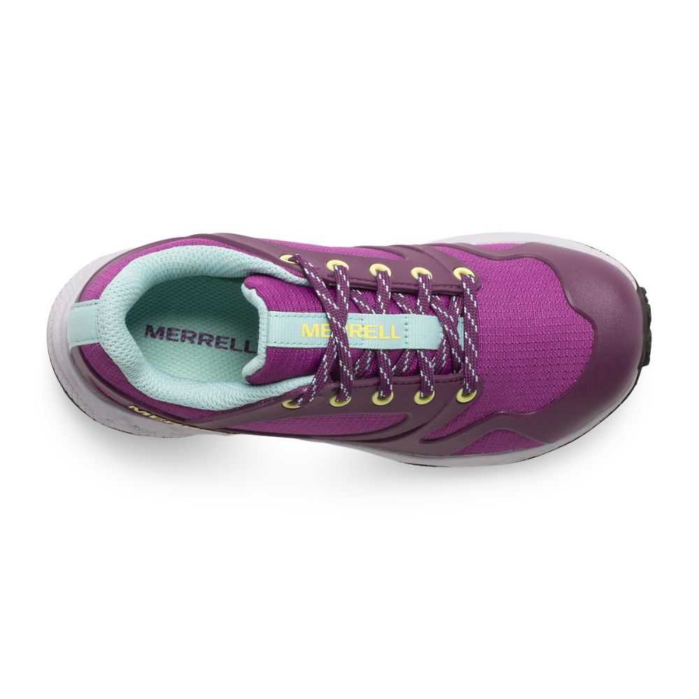 Purple Boys' Merrell Altalight Low Sneakers | Dubai-9083576