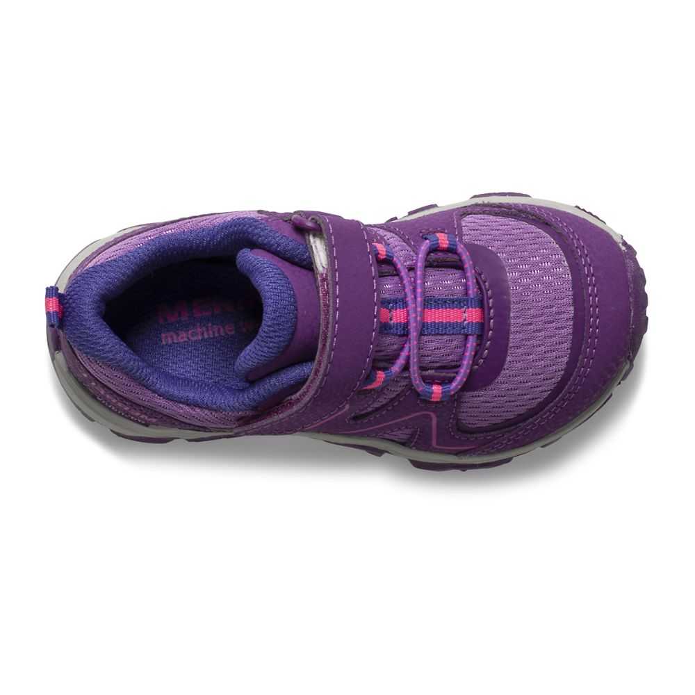 Purple Boys' Merrell Trail Quest Sneakers | Dubai-4069528